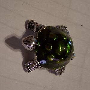 12 Turtle Charms And Cards